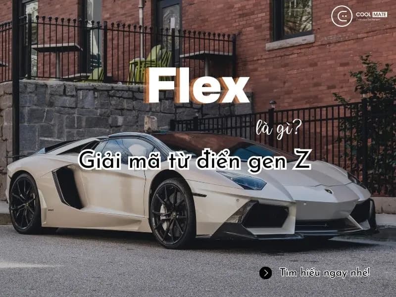 Flex là thuật ngữ gì? Giải thích ý nghĩa của từ "Flex" trong từ điển của thế hệ Z.