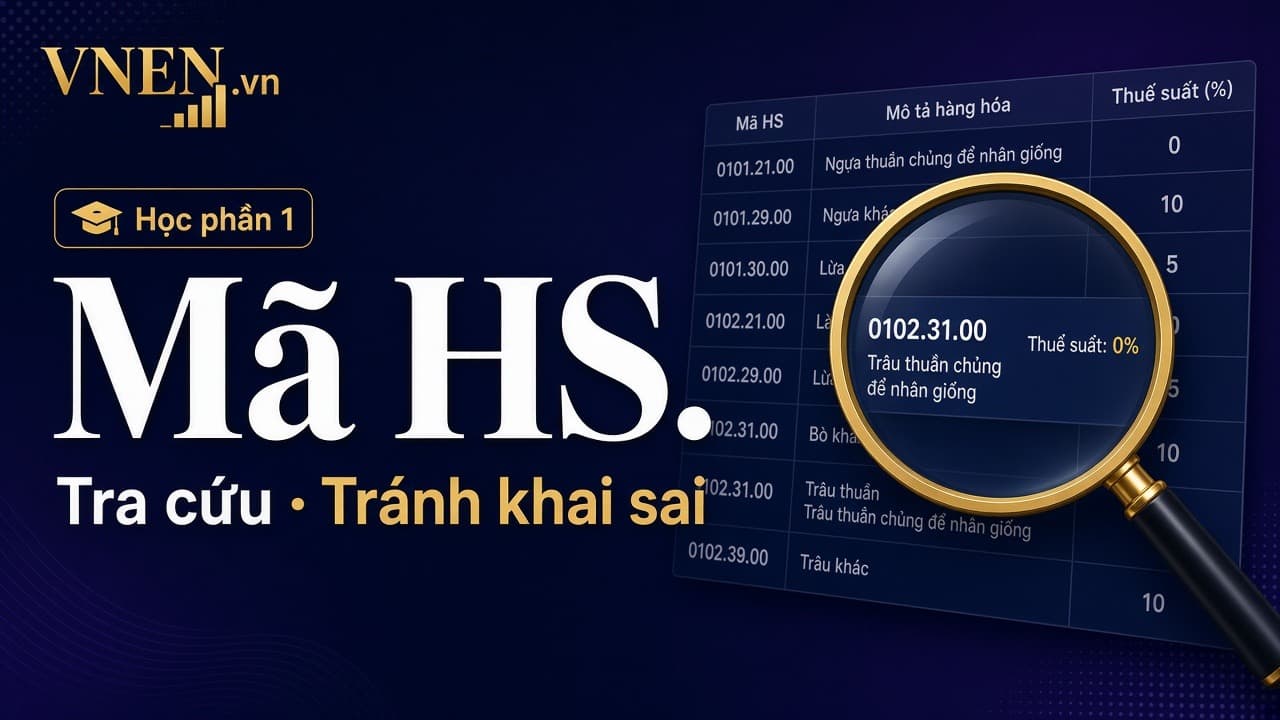 Mã HS: cách tra cứu và tránh khai sai