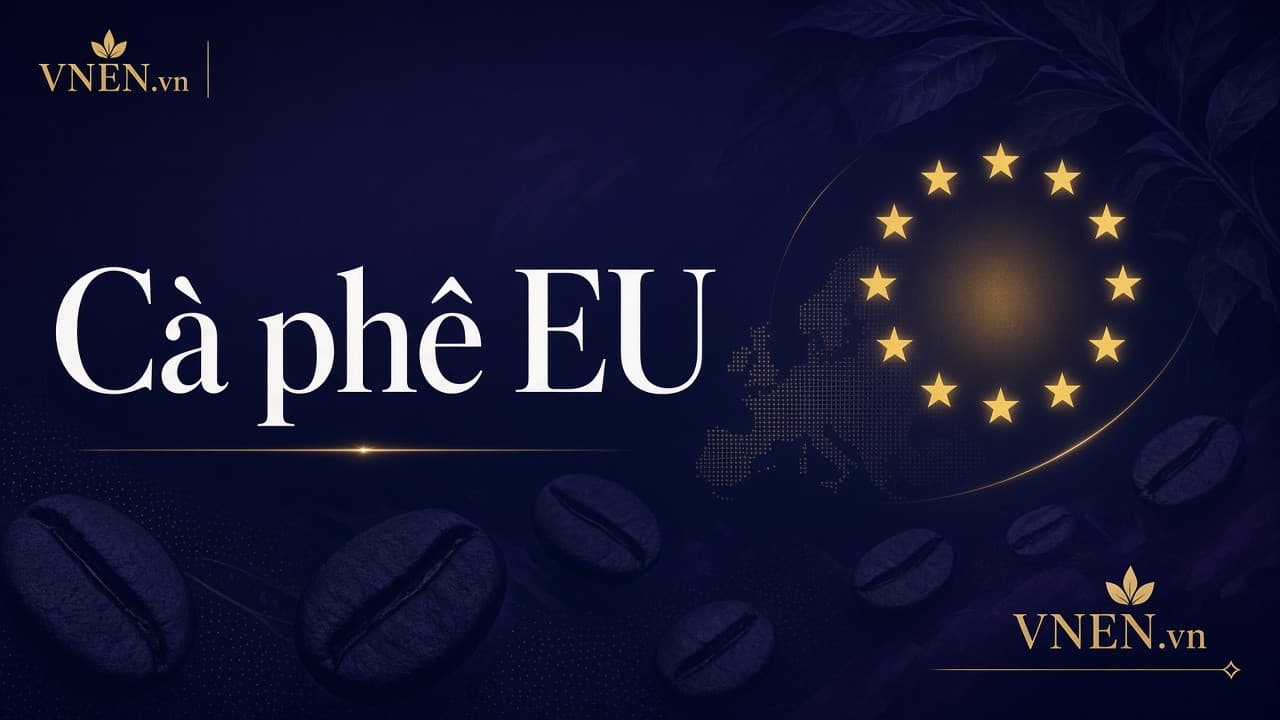 Xuất khẩu cà phê sang EU: EVFTA, chất lượng và SPS cho SME